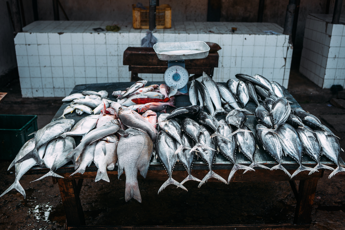 Weighing fish catch, analogy of measuring the success of conversion